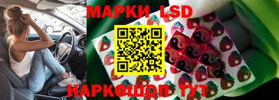 кокс Бийск