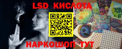 кокс Бийск