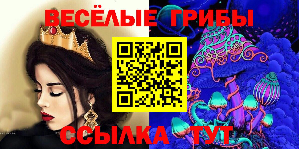 Псилоцибиновые грибы GOLDEN TEACHER Заволжье