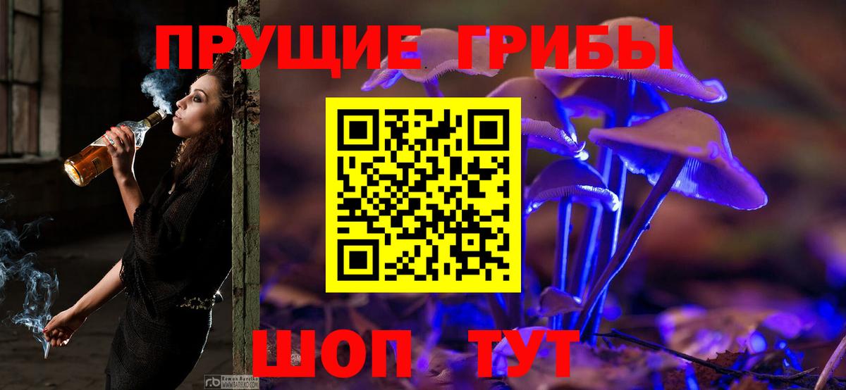 Псилоцибиновые грибы Psilocybe  Галлюциногенные грибы GOLDEN TEACHER  дарнет шоп  Заволжье  Вход с VPN 
